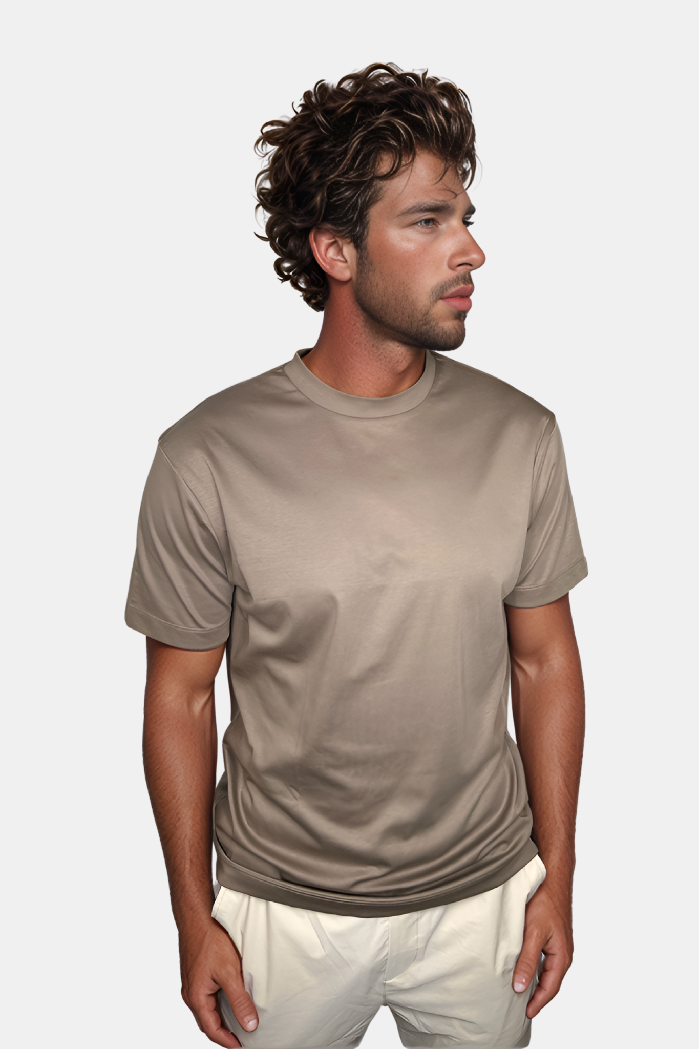 Desert Taupe T-shirt